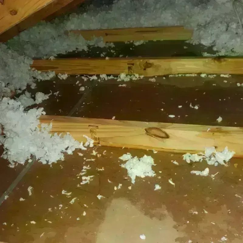 Attic Water Damage in Bisbee, AZ