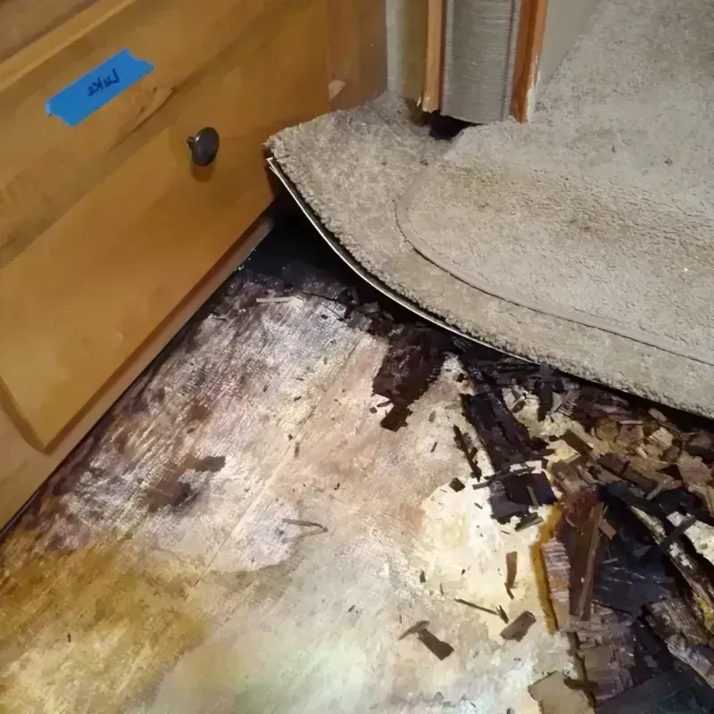 Wood Floor Water Damage in Bisbee, AZ